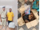 RAIPUR CRIME: Ganja seller arrested in Raipur under the guise of a paan stall, 2 kg ganja, 3 knives and a sword recovered