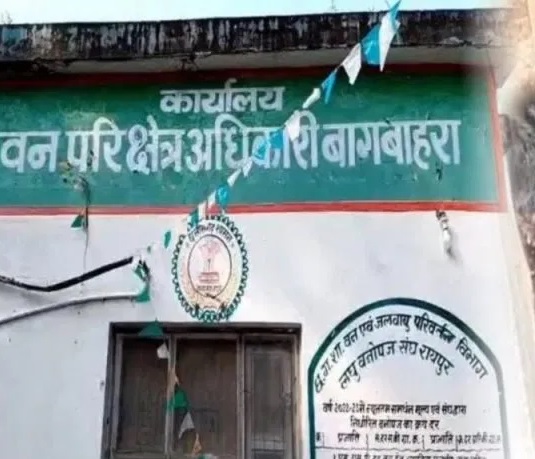 CG NEWS: 5 arrested in bear's death case, 1 absconding: Wild boar was hunted before electric wire, bear died after getting hit by it